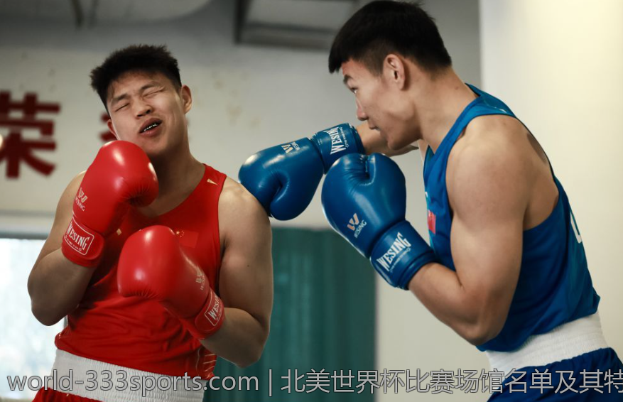 北美世界杯比赛场馆名单及其特色介绍